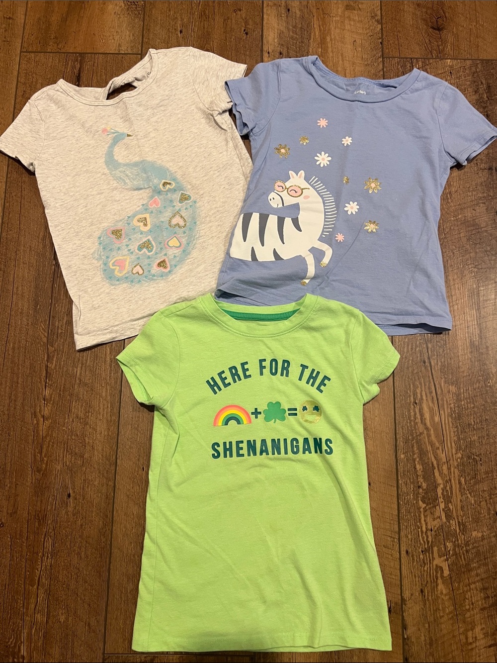 Toddler Girl Short Sleeve T-shirt Bundle, 5T